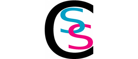 CSS Logo